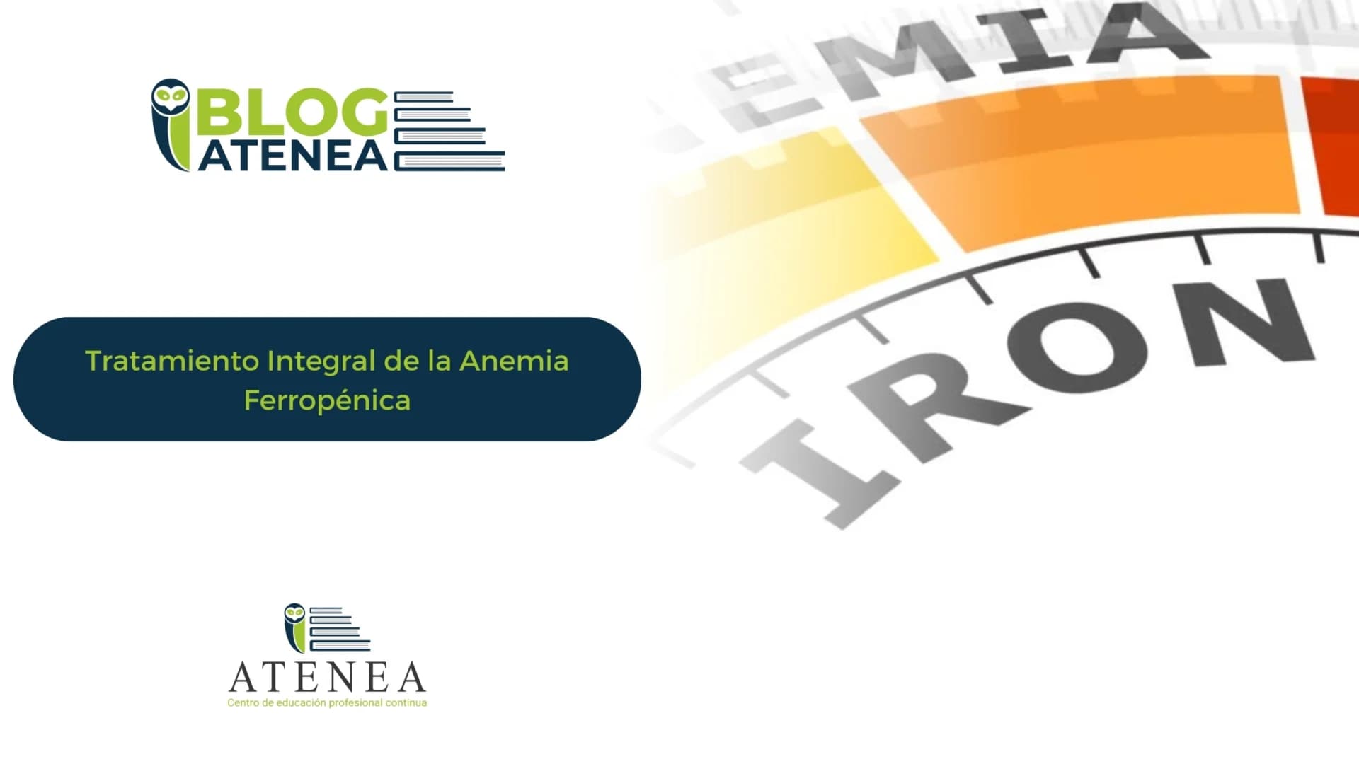 Tratamiento Integral de la Anemia Ferropénica